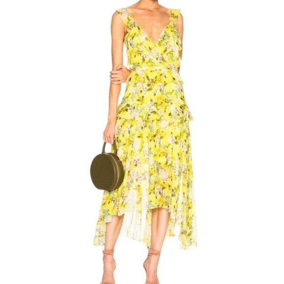 Marissa Webb Dresses & Skirts - NWT Marissa Webb Kaya Silk Print Dress.  SZ S